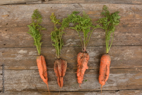 Quadro em tela Wrinkled fruits and vegetables stock images Old wrinkled dried vegetables on the
