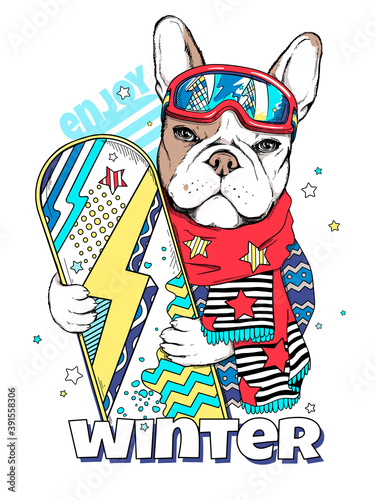Cute cartoon french bulldog wearing ski goggles and scarf. Dog with a snowboard. Enjoy your winter illustration. Stylish image for printing on any surface