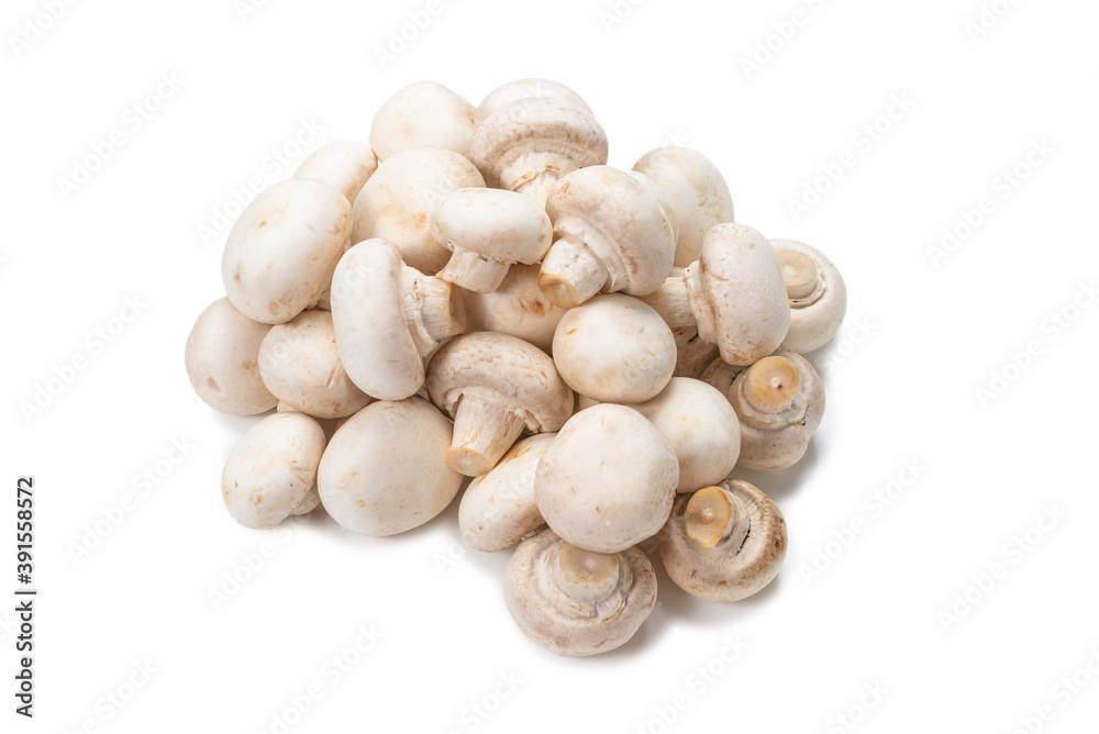 Champignon mushroom isolated on white background. Champignon mushroom isolated on white background.