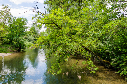 Brugg  Wasserschloss  Flusslandschaft  Aare  Fluss  Aareuferschutzgebiet  Wald  Waldweg  Br  ckenwanderung  Auenschutzpark  Aargau  Sommer  Schweiz