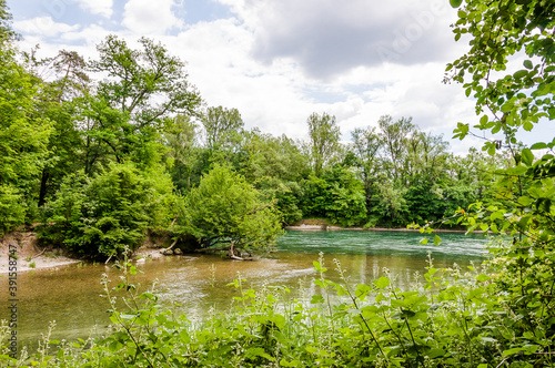 Brugg, Wasserschloss, Flusslandschaft, Aare, Fluss, Aareuferschutzgebiet, Wald, Waldweg, Brückenwanderung, Auenschutzpark, Aargau, Sommer, Schweiz photo