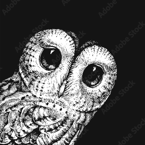 Cute Owl Illustration. Vector illustration of the baby owl black on a white. Can Be Used for t-shirt Print, Kids Wear Fashion Design, Baby Shower Invitation Card