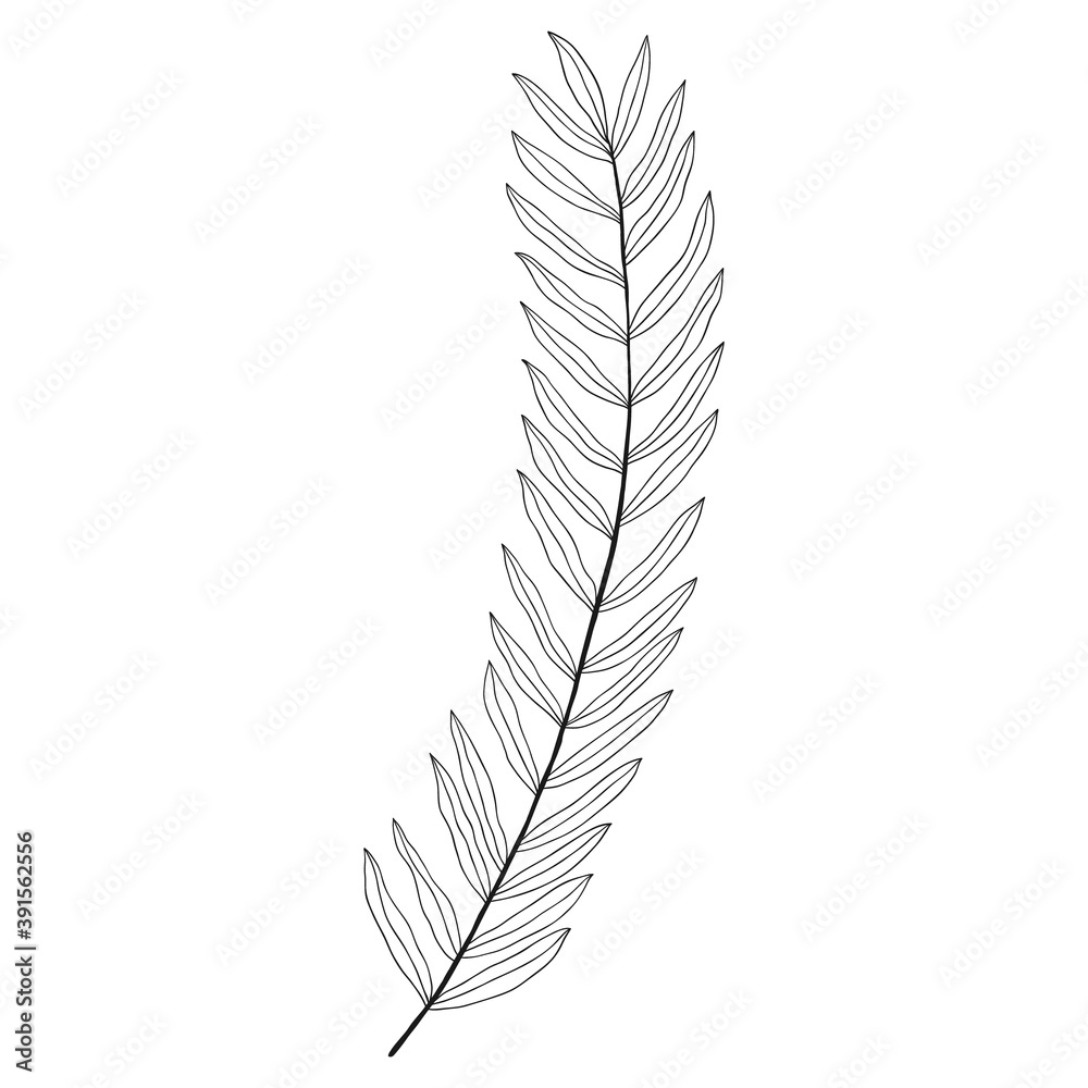 Fototapeta premium Decoration element for design invitation, wedding cards, valentines day.