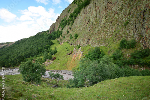 Panorama of Betula raddeana birches and mountains with Kyzyl-Kol river in Dzhily-Su gorge photo