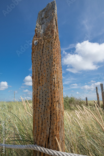 Old Broken Perforated Timber Pile At Beach Of Texel