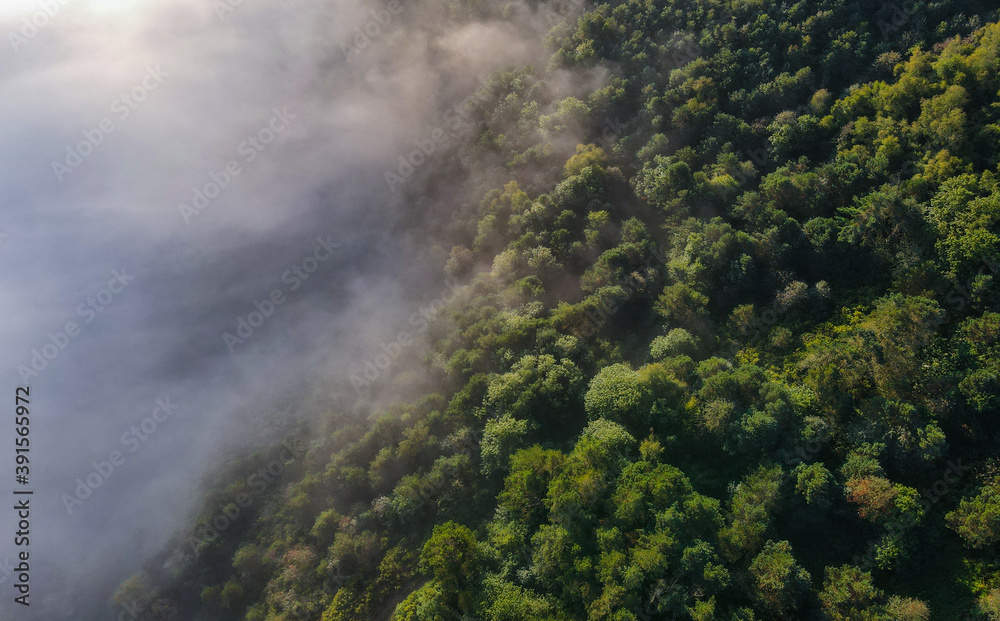 The fog penetrates in the mountain The fog penetrates in the mountain