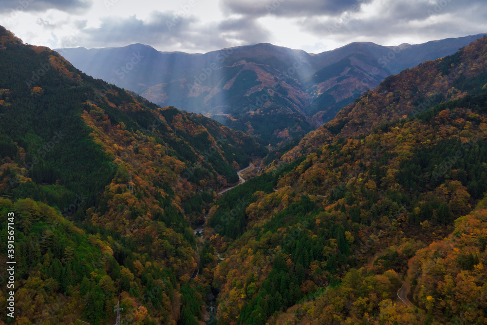 徳島県三好市祖谷の紅葉風景