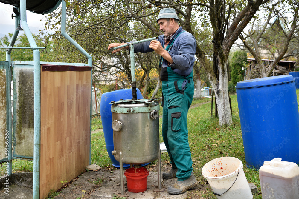 The fruit farmer rotates the press by hand while pressing the apples into fruit must