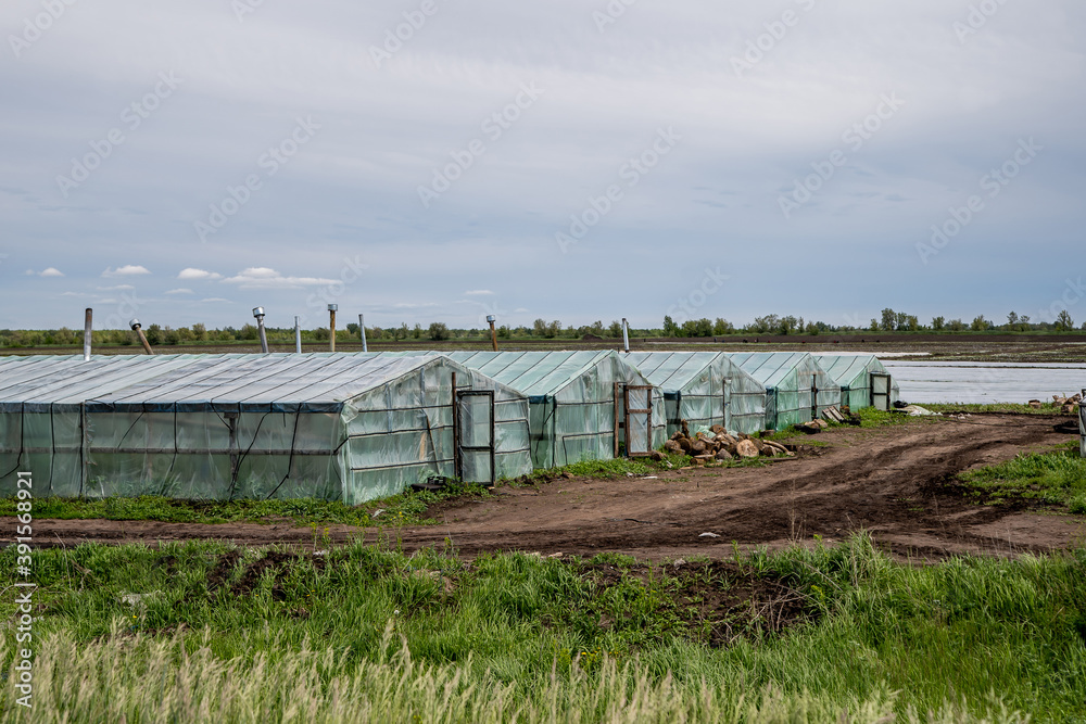 frame greenhouses for vegetables