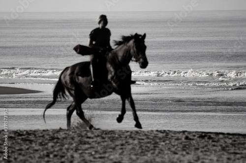 horse and rider © Anya Photography