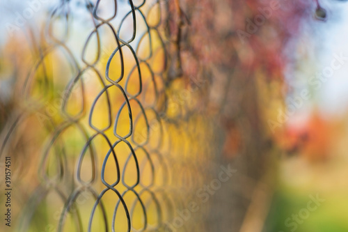 Metal mesh with blurred background from autumn landscape