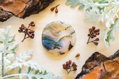 Fotografie Dendridic Agate with Dusty Miller and Natural Elements