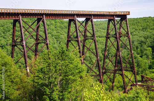 Kinzua Bridge State Park photo
