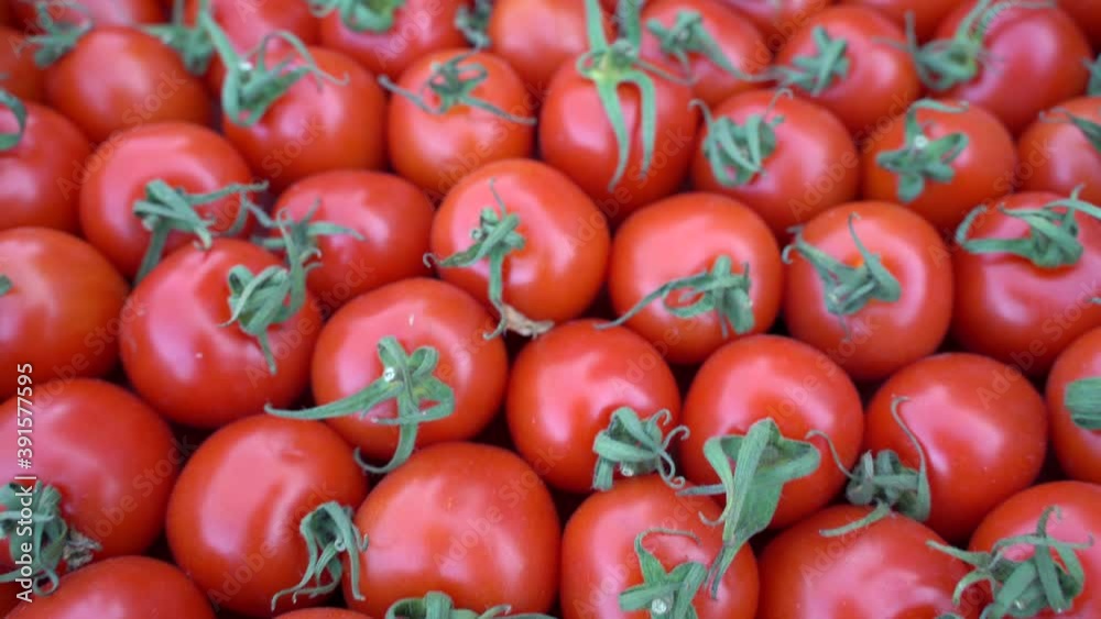 red tomatoes background. tomato harvest close up red tomatoes background. tomato harvest close up