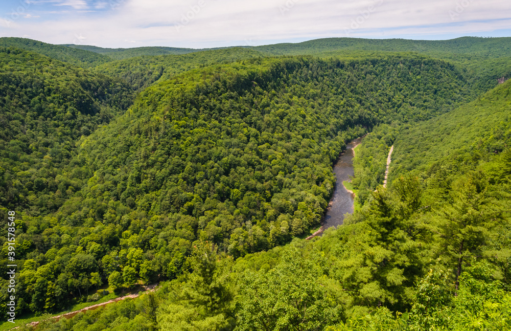 Obraz premium Pine Creek Gorge