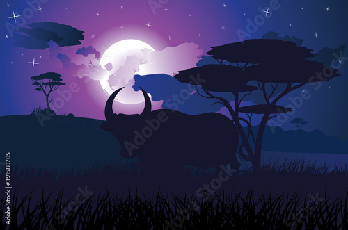 Night landscape and bull silhouette