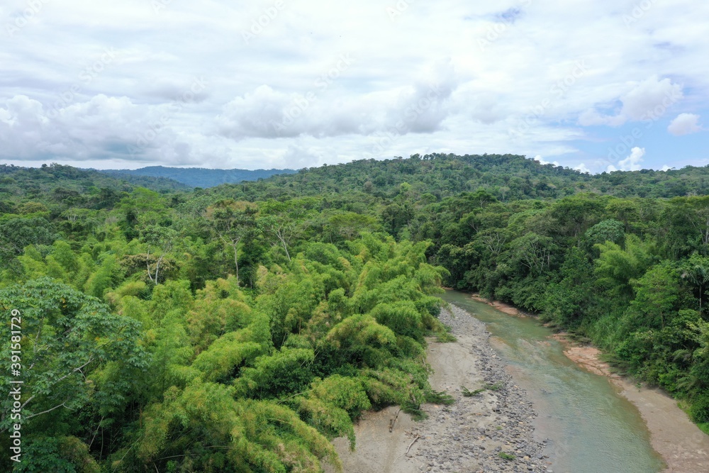 Aerial view over a tropical river lined with bamboo and different colors of green