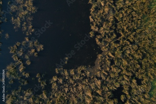 Aerial view or top view over a small wswamp with loads of grass © pangamedia