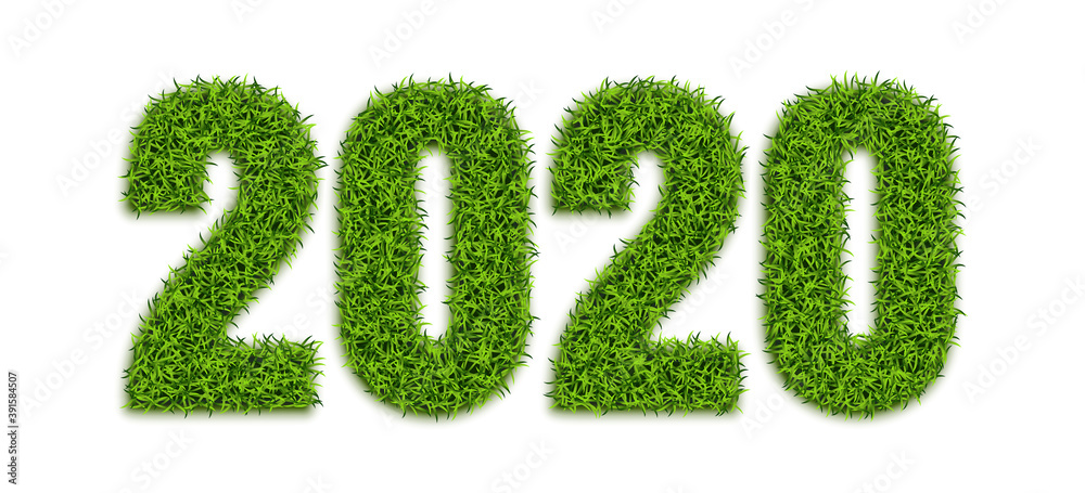 Green Grass Numbers 2020 Isolated on White Background Green Grass Numbers 2020 Isolated on White Background