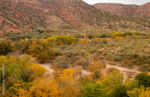 Scenic Landscape in the Verde River canyon Ariozna in Autumn photo