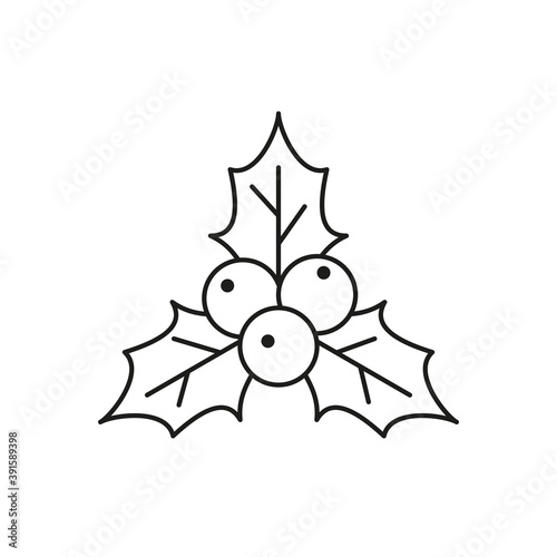 Holly berry icon on white background.