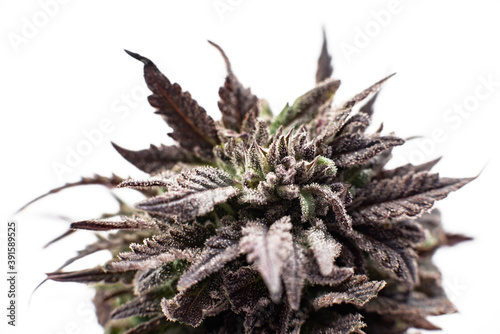 weed medical cannabis marijuana buds
