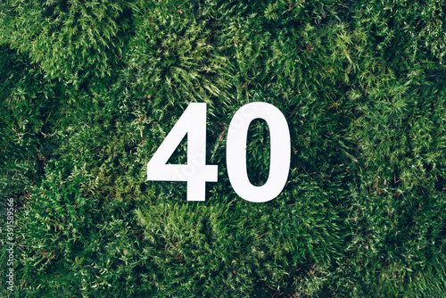 Green grass, digit forty. Birthday greeting card with inscription 40. Anniversary concept. Top view. White numeral on eco moss background. Numerical digit, Celebration event, template, flyer