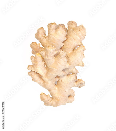 Fresh raw ginger root, rhizome on white background