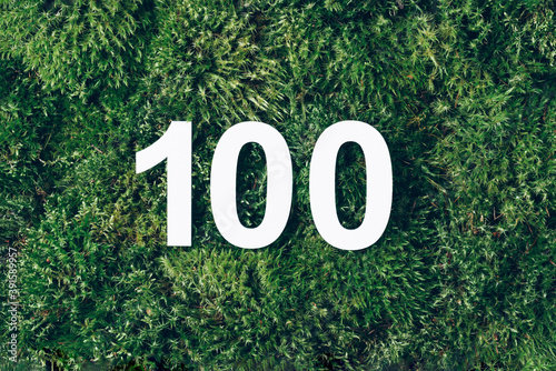 Green grass, digit one hundred. Birthday greeting card with inscription 100. Anniversary concept. Top view. White numeral on eco moss background. Numerical digit, Celebration event, template, flyer