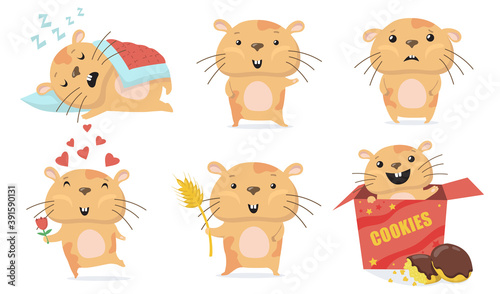 Fototapeta Naklejka Na Ścianę i Meble -  Adorable hamster set. Cute funny cartoon hamster sleeping, waving hello, giving flower in love, eating cookies in box. Vector illustration for animal, pets, rodent concept