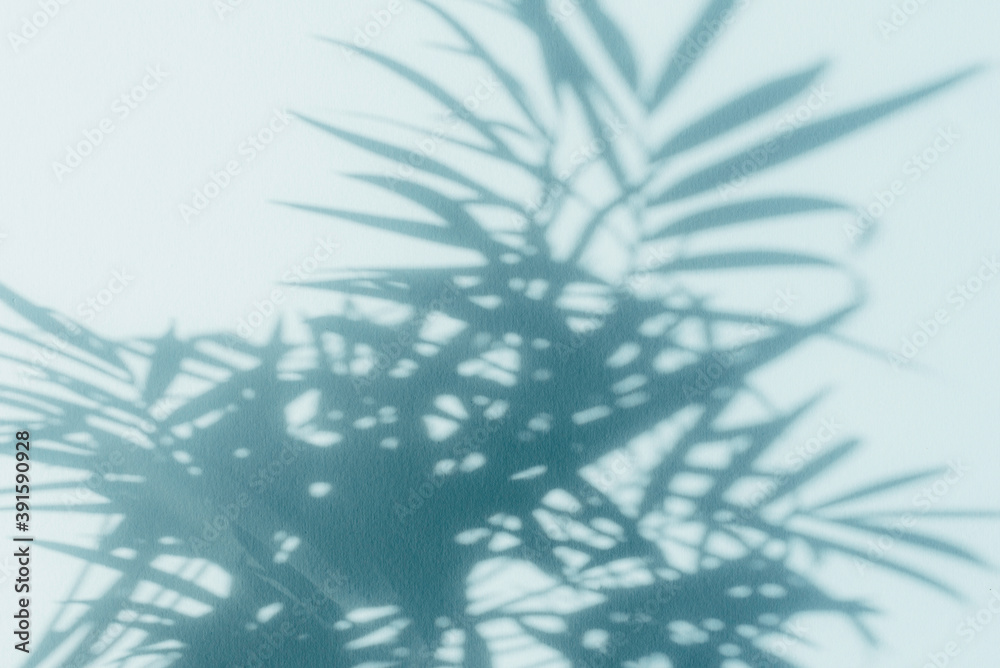 Palm leaf shadows on blue wall. Copy space. Backdrop texture for design