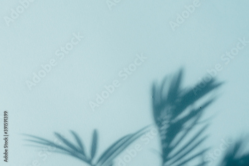 Palm leaf shadows on blue wall. Copy space. Backdrop texture for design