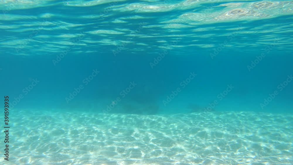 Crystal clear sea water at Furuzamami beach on Zamami island, Kerama archipelago, Okinawa, Japan, Asia. Underwater view of Japanese coast and blue waters near coral reef. No people, copy space Crystal clear sea water at Furuzamami beach on Zamami island, Kerama archipelago, Okinawa, Japan, Asia. Underwater view of Japanese coast and blue waters near coral reef. No people, copy space