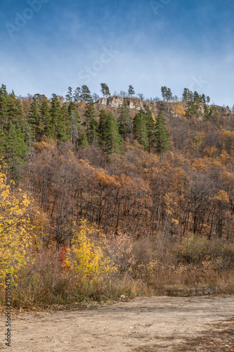 Golden, autumn, October, evening, sky, clouds, nature, walk, slope, forest, pines, green, needles, deciduous, trees, yellow, orange, foliage, withered, grass, distance, space, height, light, shadow