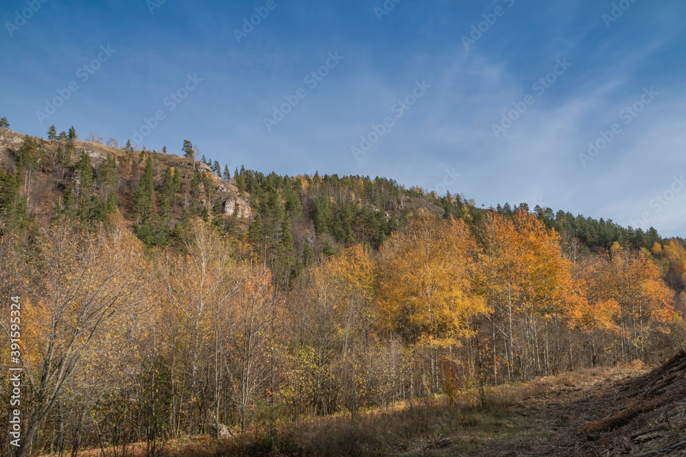 Golden, autumn, October, evening, sky, clouds, nature, walk, slope, forest, pines, green, needles, deciduous, trees, yellow, orange, foliage, withered, grass, distance, space, height, light, shadow