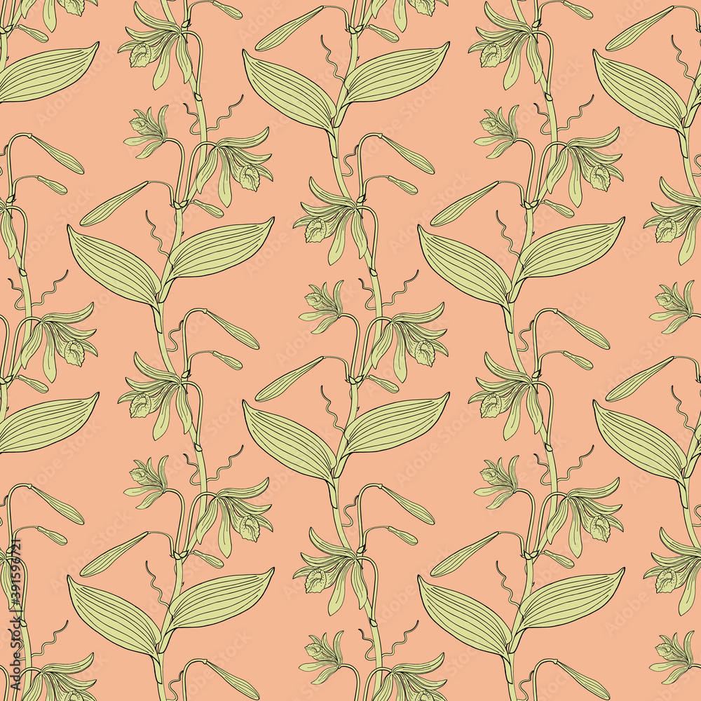 Yellow floral seamless pattern with hand drawn vannilla orchid flowers on pink background. Stock vector Yellow floral seamless pattern with hand drawn vannilla orchid flowers on pink background. Stock vector