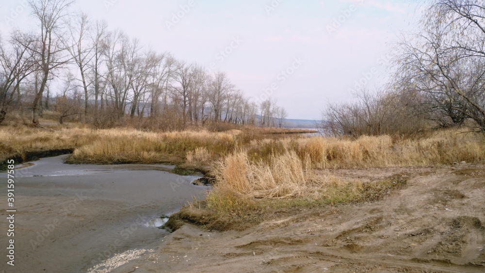 river in the forest