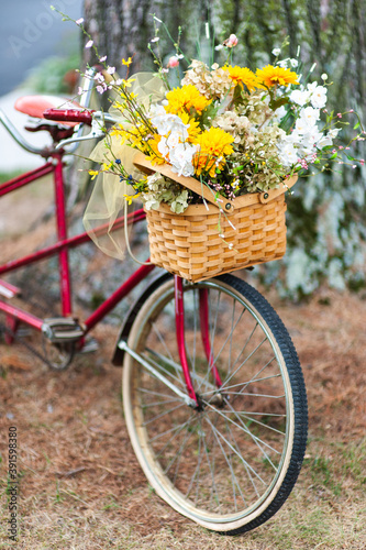 Old bicycle with basket of flowers.