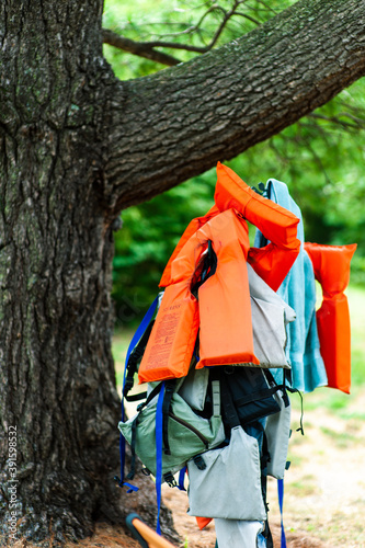 Life vests hanging from a tree.