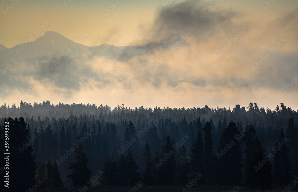 Fototapeta premium Yellowstone National Park