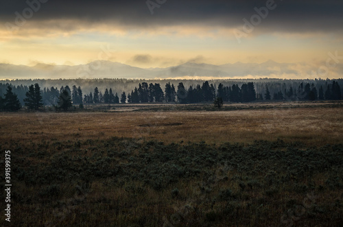 Yellowstone National Park