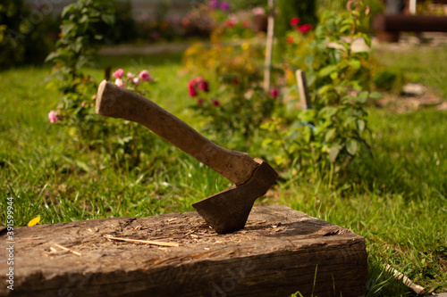 An old axe stuck in a piece of wooden log with splinters Garden tool.