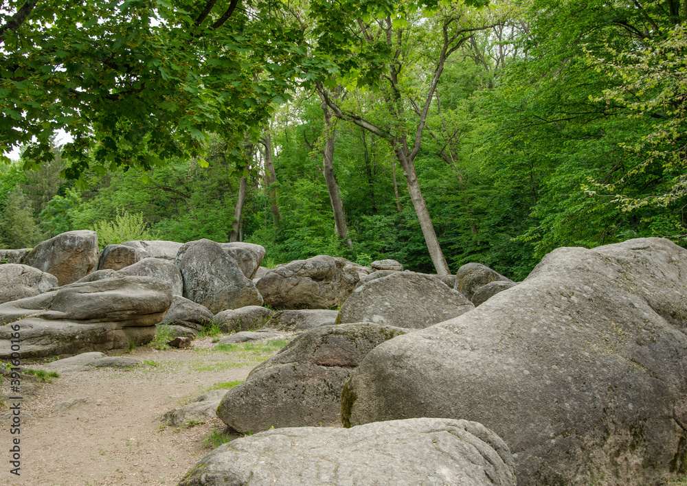 stone path in the forest stone path in the forest