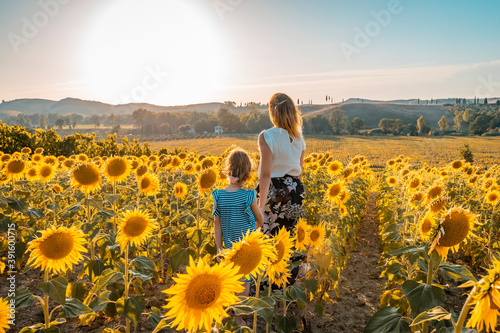 mamma e figlia si tengono per mano in un campo di girasoli al tramonto photo
