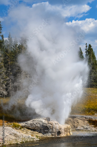 Yellowstone National Park