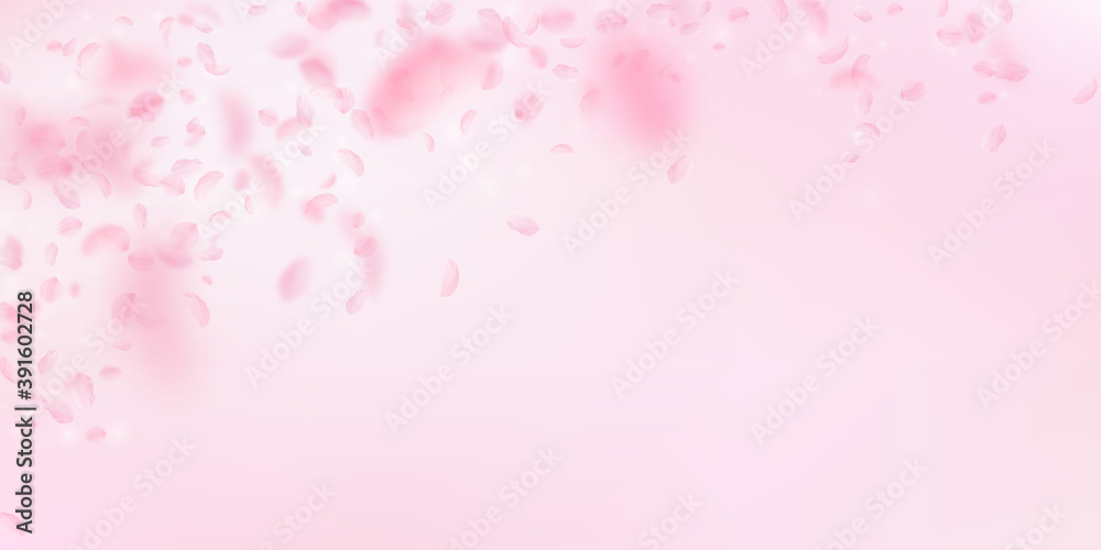 Sakura petals falling down. Romantic pink flowers 