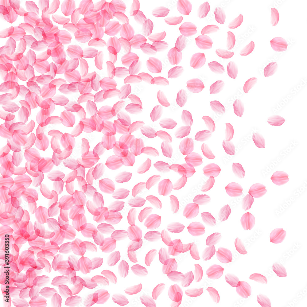 Sakura petals falling down. Romantic pink silky me Sakura petals falling down. Romantic pink silky me