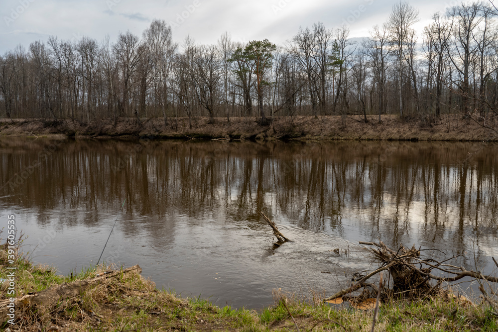 the river Bank in early spring the river Bank in early spring