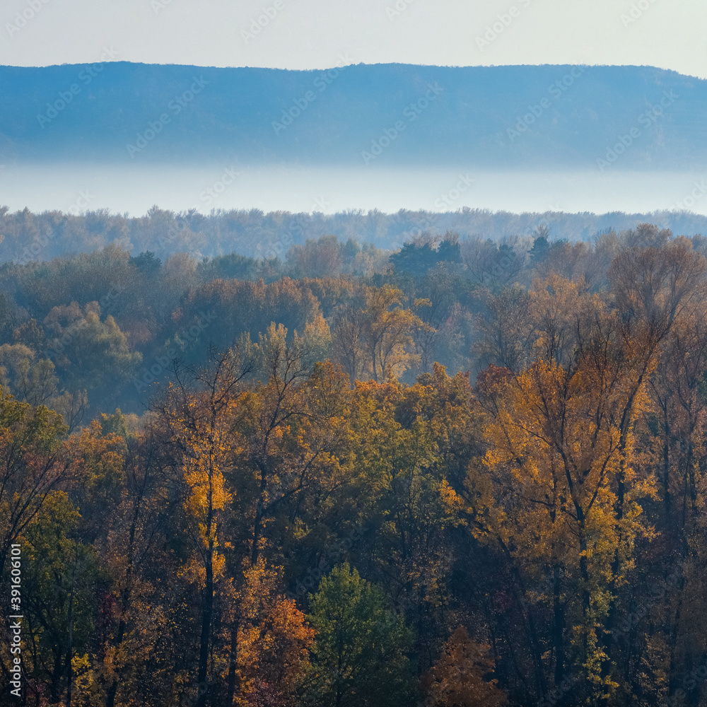 Beautiful panorama of the autumn forest, on the mountain hills.