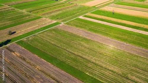 Aerial view of agricultural farming fields from sky.